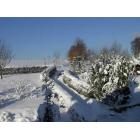 Winter_NachHelgersdorf.jpg