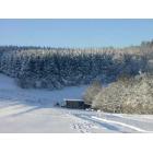 Winter_Pferdekoppel.jpg