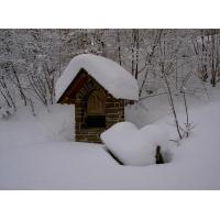 PICT7166.JPG