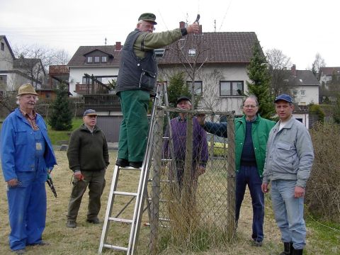 Auch Hochstämme in der Streuobstwiese brauchen Pflege