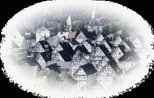 Freudenberg Freudenberg