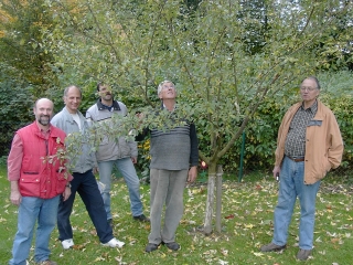 Der Garten im Herbst