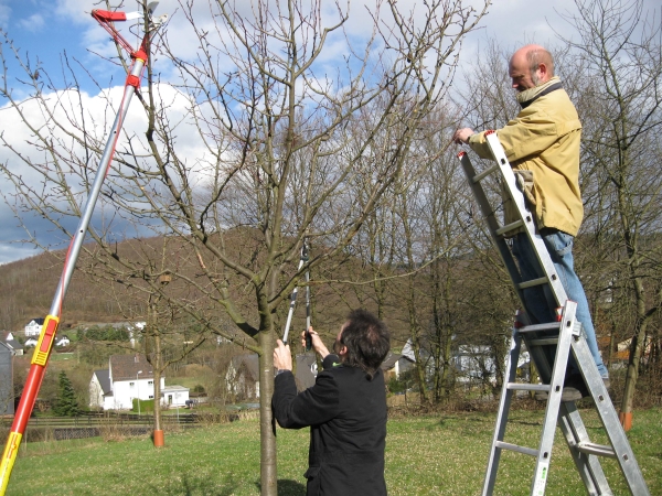 Obstbaumschnitt in Garten und Landschaft