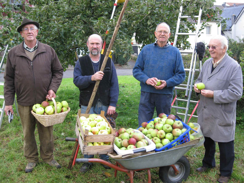 Es ist Erntezeit in Garten und Obstwiese
