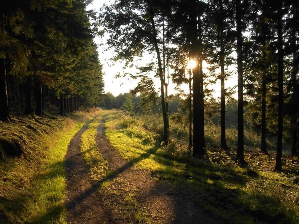 Die Sonne lacht am Sonnenweg: Film- und Bilderabend im Gasthof Jokebes.