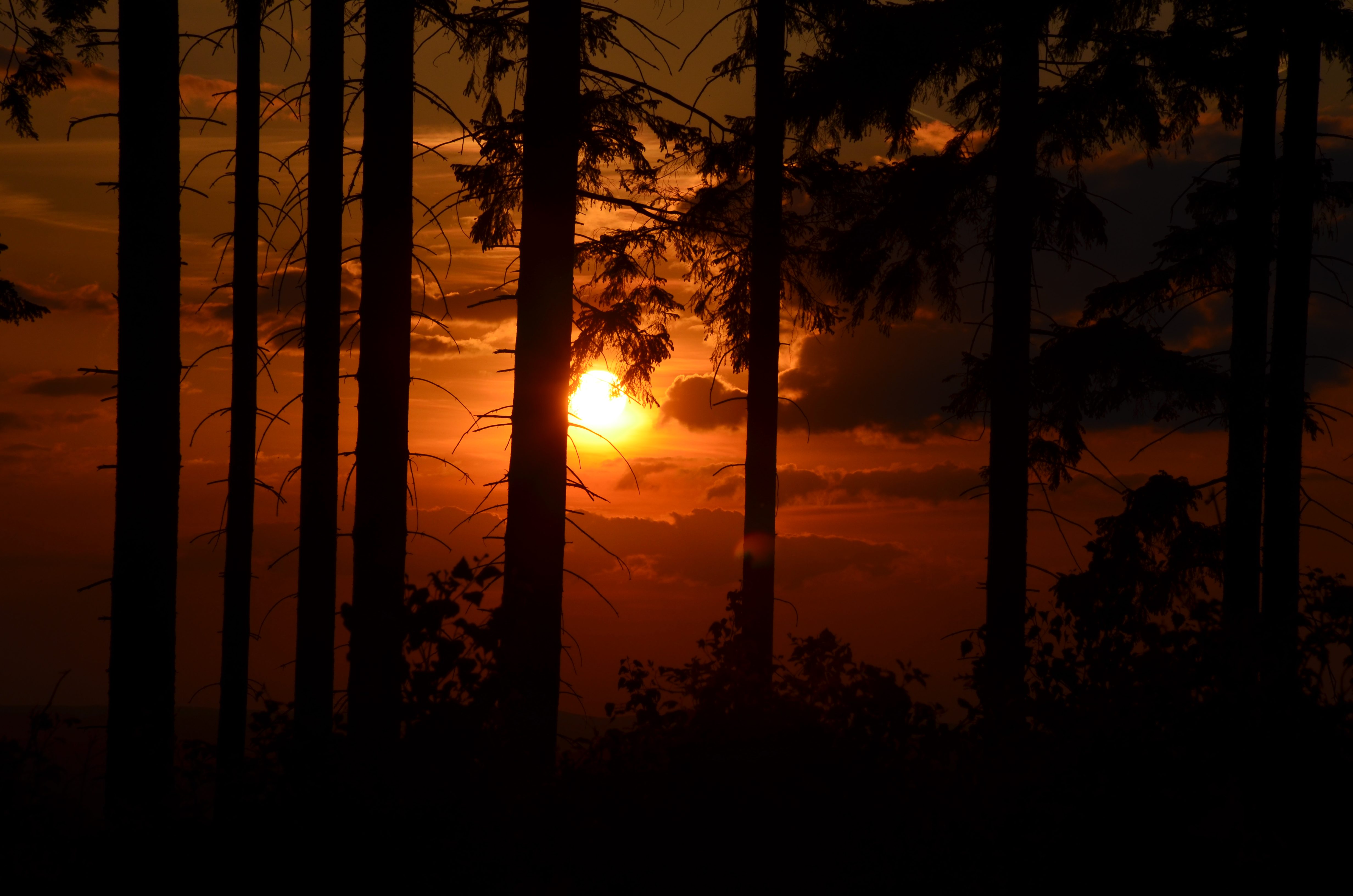 Wanderung zur Sommersonnenwende