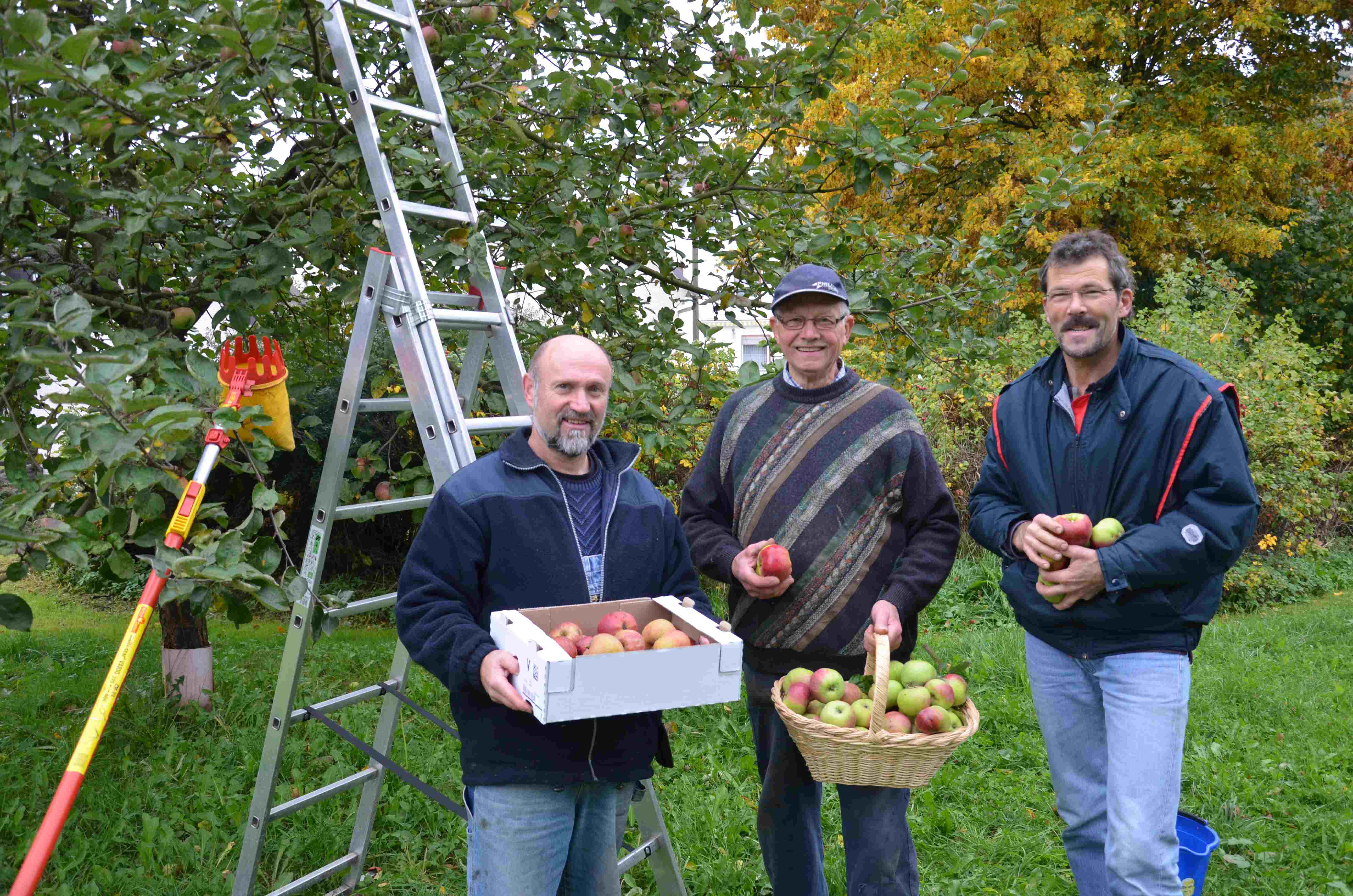 Es ist Erntezeit in Garten und Streuobstwiese…