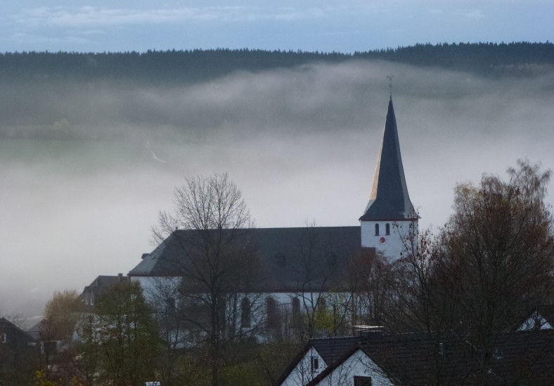 Irmgarteichen im Morgennebel