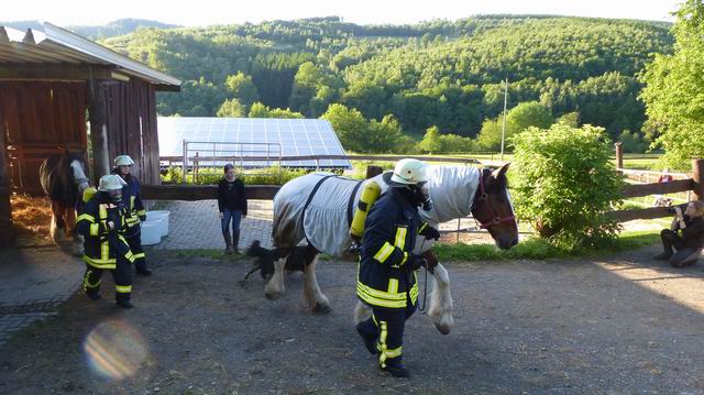 Gemeinsame Übung der Feuerwehren Irmgarteichen, Hainchen und Rittershausen