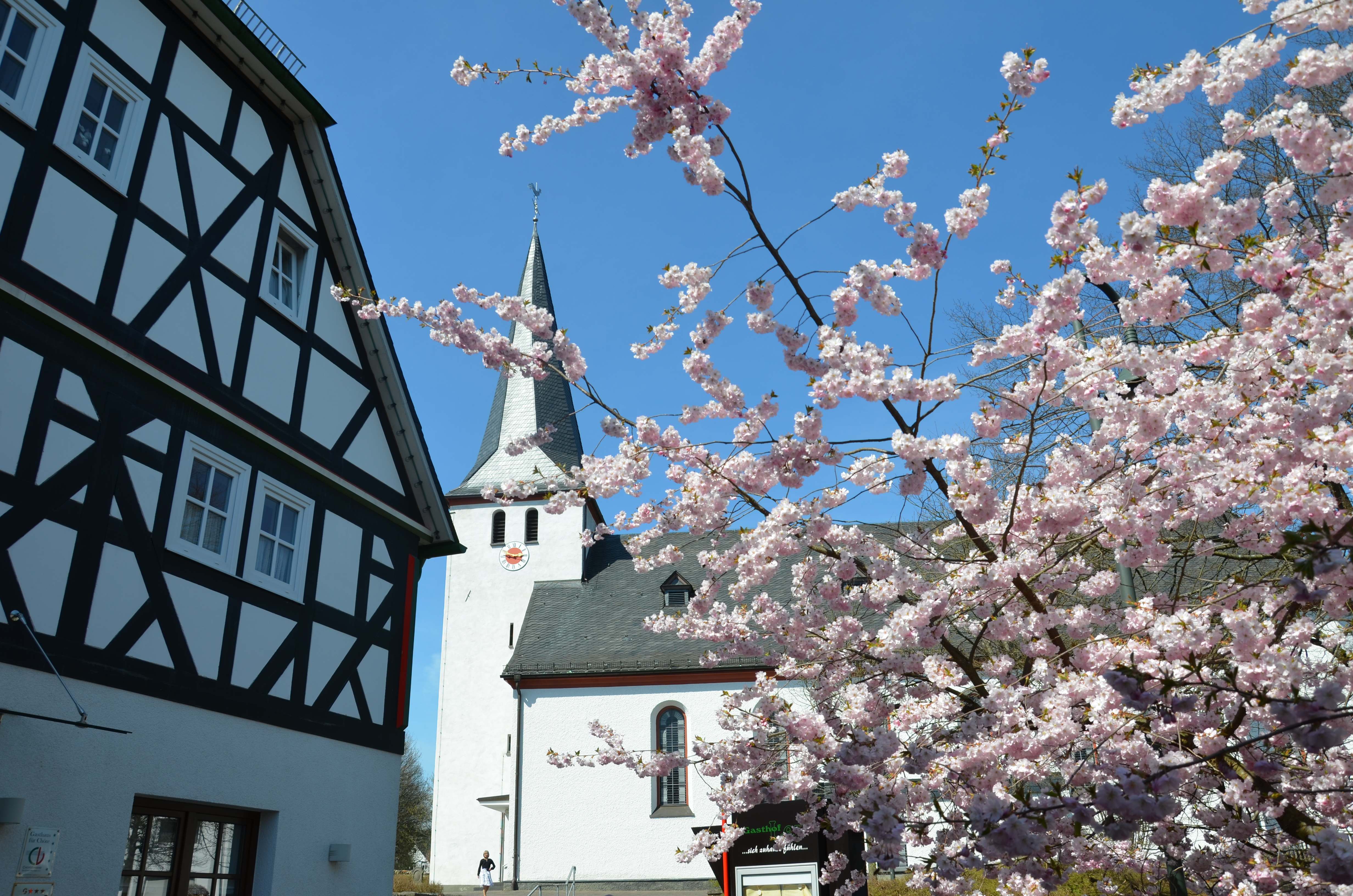 Blütenmeer am Dorfgasthaus