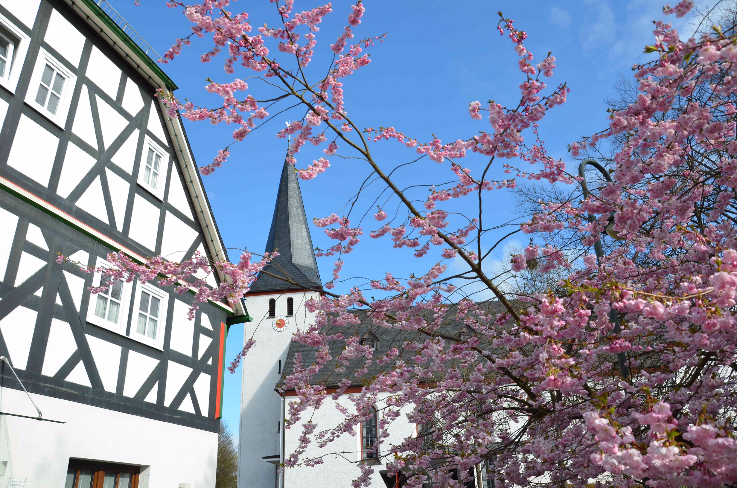 Blüten am Dorfgasthaus Blüten am Dorfgasthaus