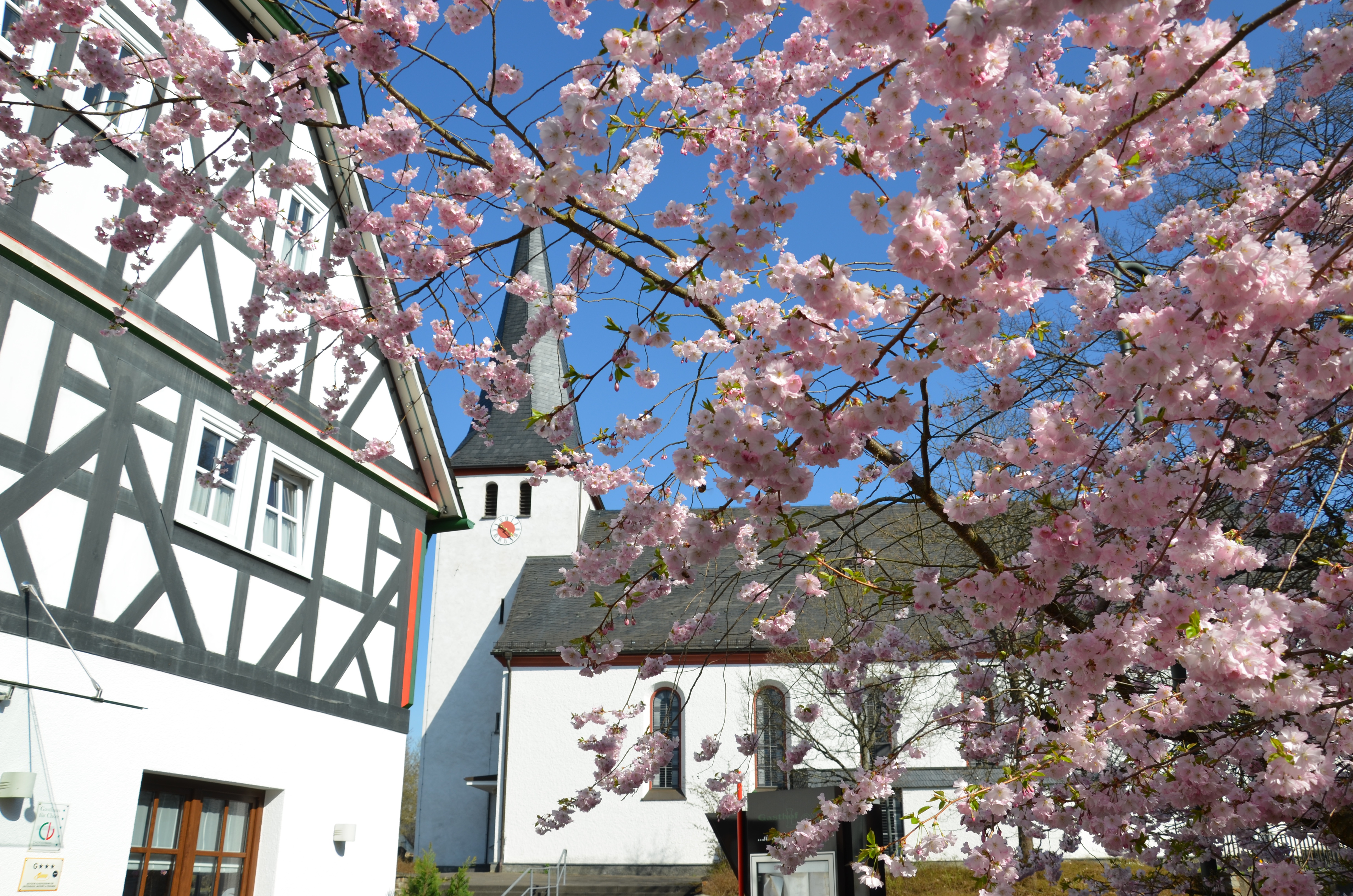 Farbenrausch im Frühling…